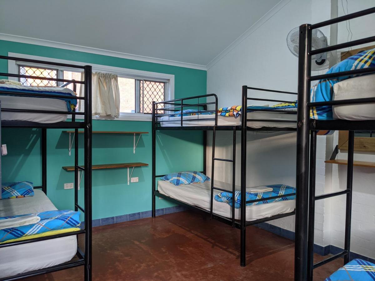 بيت شباب Ozzie Pozzie Backpackers ميناء ماكواري المظهر الخارجي الصورة
