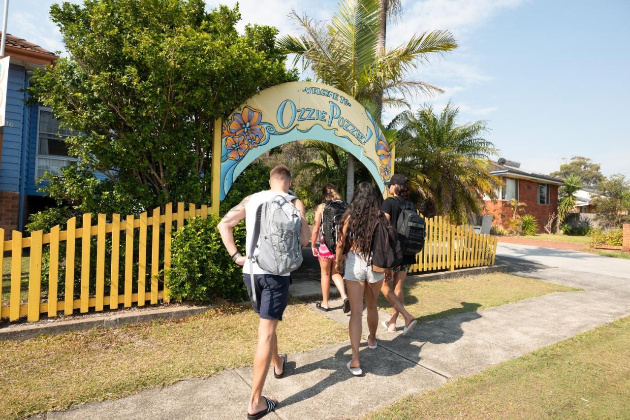بيت شباب Ozzie Pozzie Backpackers ميناء ماكواري المظهر الخارجي الصورة