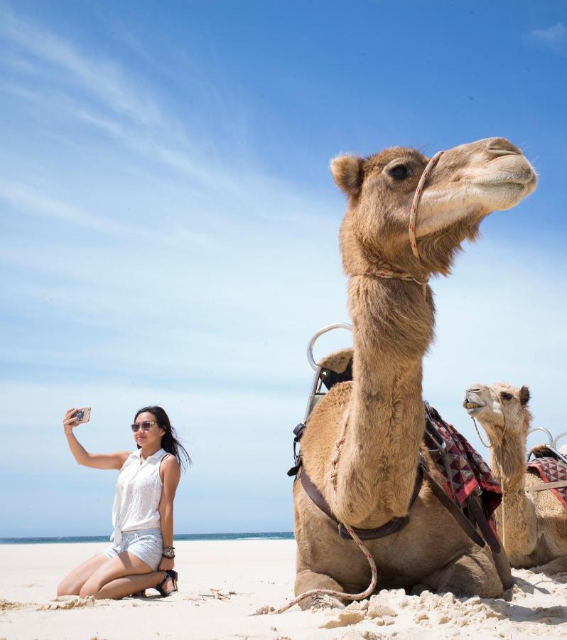 بيت شباب Ozzie Pozzie Backpackers ميناء ماكواري المظهر الخارجي الصورة