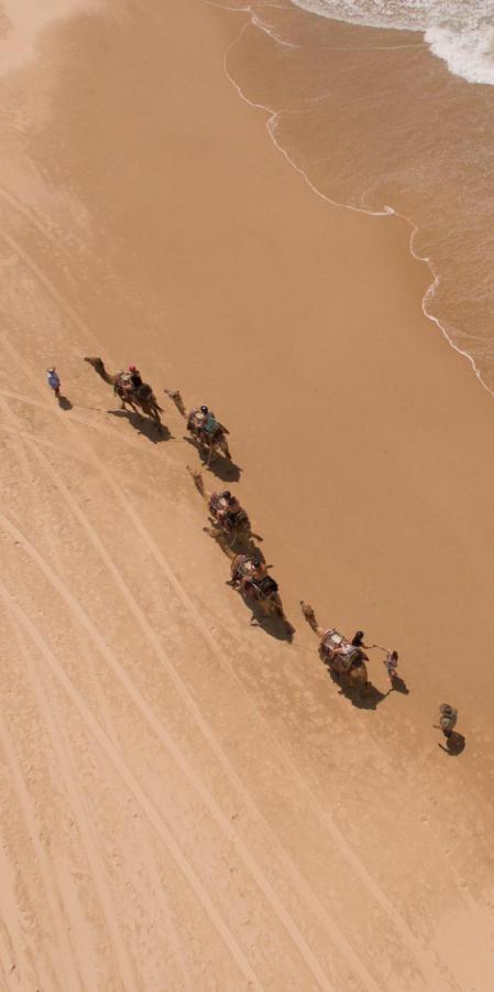 بيت شباب Ozzie Pozzie Backpackers ميناء ماكواري المظهر الخارجي الصورة