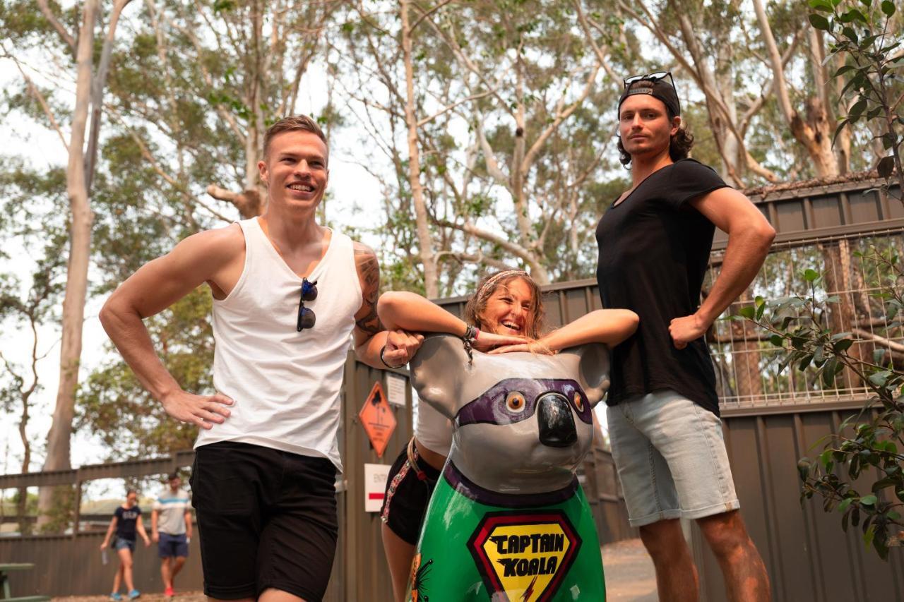 بيت شباب Ozzie Pozzie Backpackers ميناء ماكواري المظهر الخارجي الصورة
